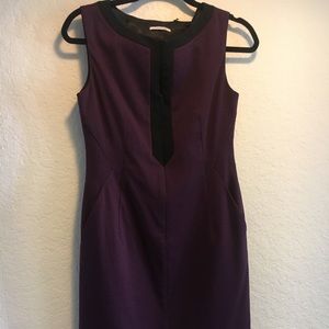 Elite Tahari purple dress, professional
